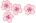 お花