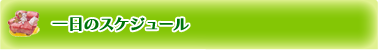 園の概要