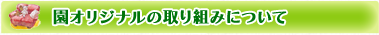 園オリジナルの取り組みについて