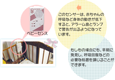 SIDS画像